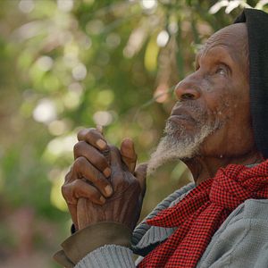 Bilder Das leere Grab