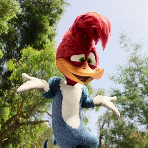 Bilder Woody Woodpecker geht ins Camp