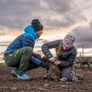 Bilder Beyond Tradition - Kraft der Naturstimmen
