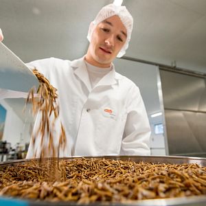 Bilder Beyond Tradition - Kraft der Naturstimmen