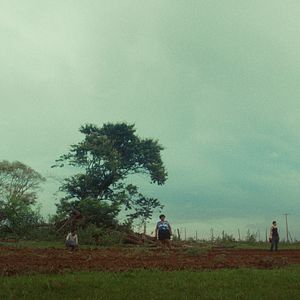 Bilder Cidade; Campo