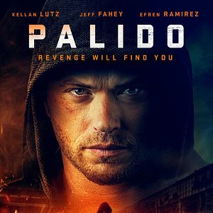 Bilder Palido - Revenge will find you