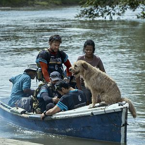 Bilder Arthur der Große