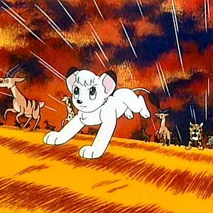 Bilder Jungle Emperor Leo