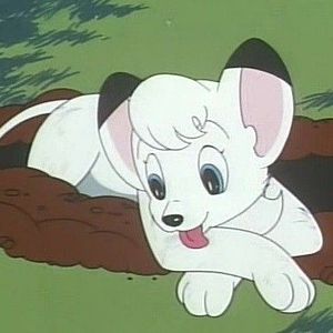 Bilder Jungle Emperor Leo