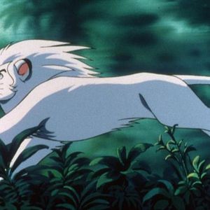 Bilder Jungle Emperor Leo