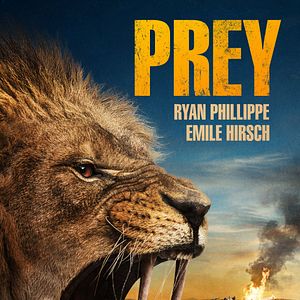 Bilder Kalahari - Hunting Grounds