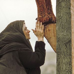 Bilder Die Passion Christi