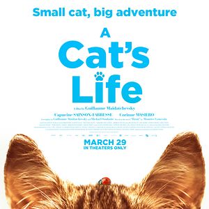 Bilder Lou - Abenteuer auf Samtpfoten