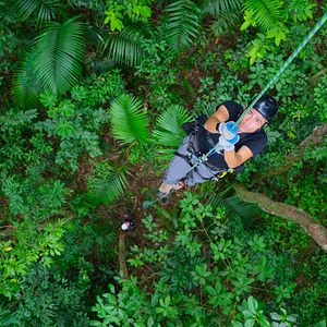 Bilder Die Sprache der Erde