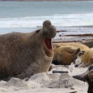 Bilder Die Sprache der Erde
