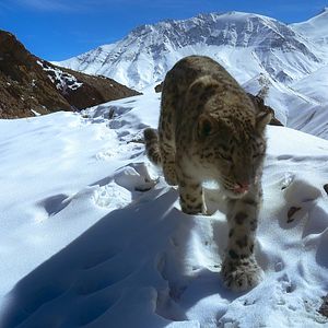 Bilder Die Sprache der Erde