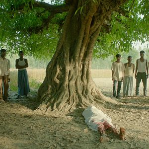 Bilder In the Belly of a Tiger