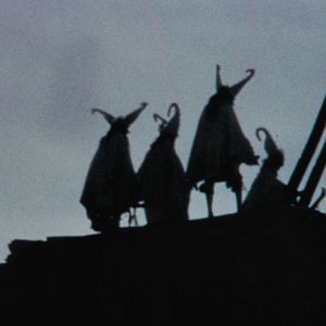 Bilder Techqua Ikachi, Land – mein Leben