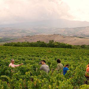Bilder Urlaub wider Willen mit Eugene Levy