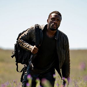 Bilder Das Herz des Jägers