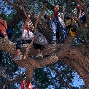 Bilder Wo Tu - Above the Dust