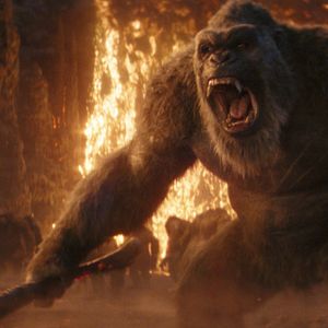 Bilder Godzilla x Kong: The New Empire