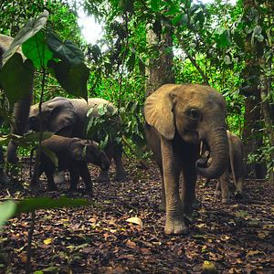 Bilder Unsere lebende Welt