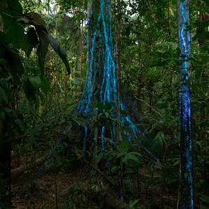 Bilder Unsere lebende Welt