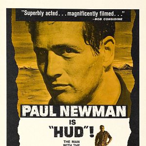 Bilder Der Wildeste unter Tausend