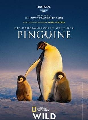 Poster der Serie Die geheimnisvolle Welt der Pinguine