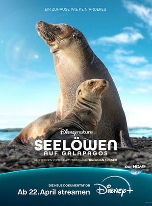 Filmposter von  Seelöwen auf Galápagos
