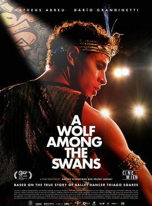 Filmposter von A Wolf Among The Swans