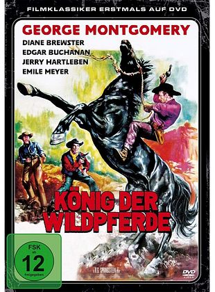 Filmposter von Fest im Sattel