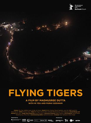 Filmposter von Flying Tigers