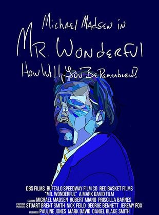 Mr. Wonderful