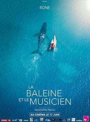 Filmposter von  The Musician and the Whale