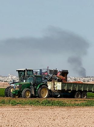 Filmposter von Collapse