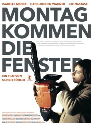 Montag kommen die Fenster