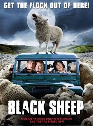  Black Sheep