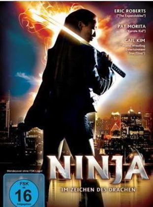  Ninja - Im Zeichen des Drachen