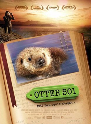  Otter 501