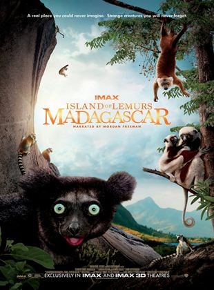  Insel der Lemuren - Madagascar