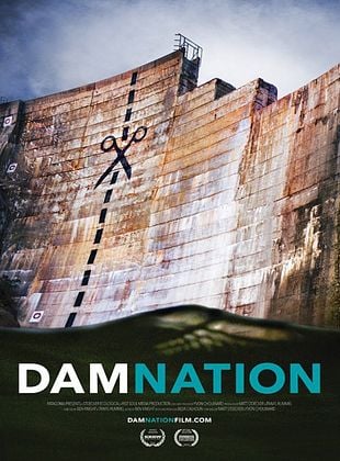 Filmposter von  DamNation