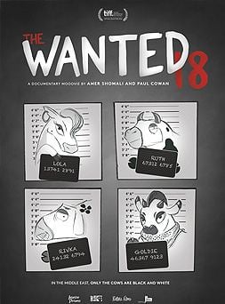  The Wanted 18