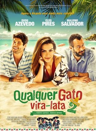 Qualquer Gato Vira-Lata 2