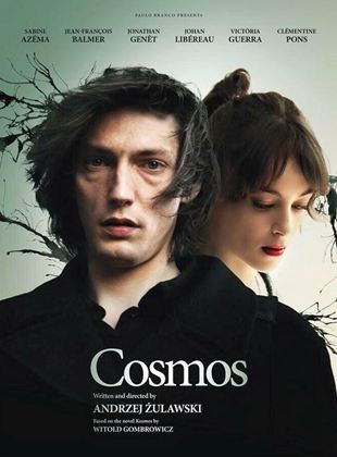  Cosmos