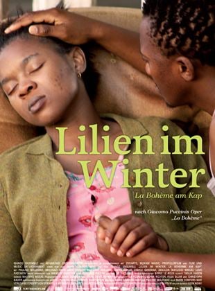  Lilien im Winter - La Bohème am Kap