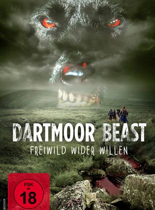  Dartmoor Beast - Freiwild wider Willen