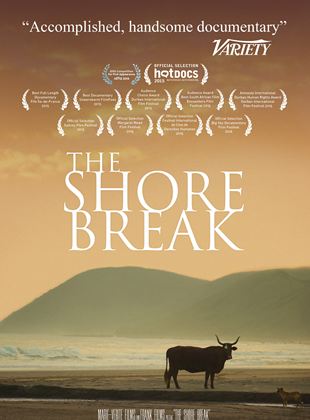  The Shore Break