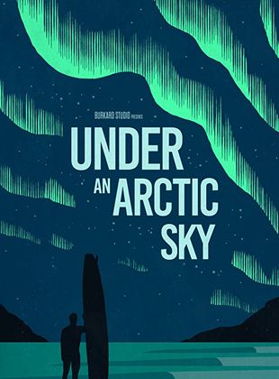 Under an Arctic Sky