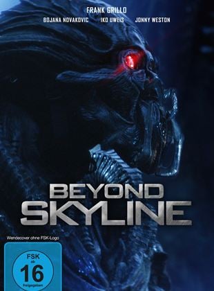  Beyond Skyline