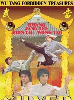  Die Zwillingsbrüder von Bruce Lee