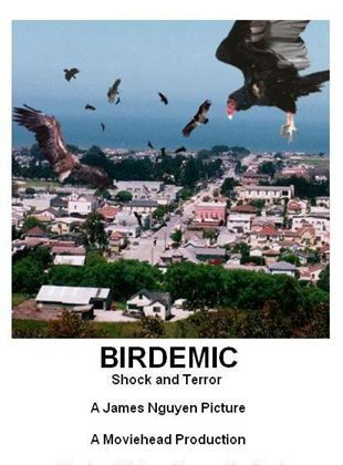  Birdemic: Shock and Terror