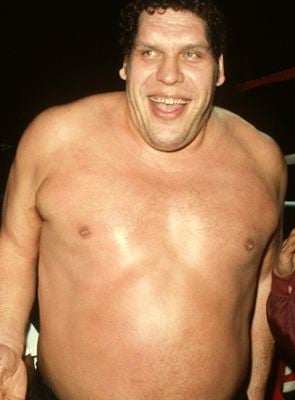  André The Giant